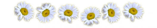 _images/daisies.png